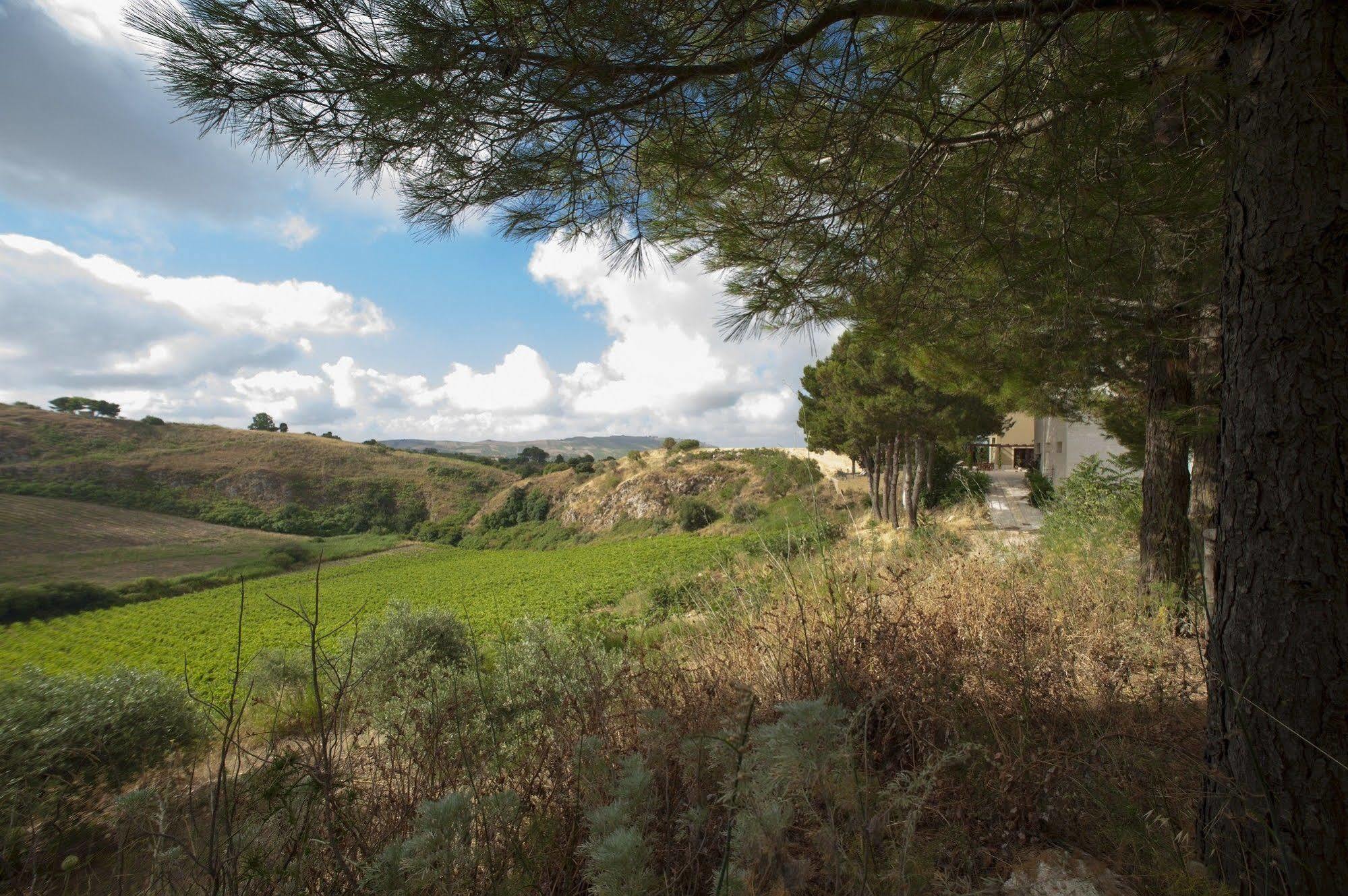 Feudo Del Biviere Villa Santa Ninfa Ngoại thất bức ảnh